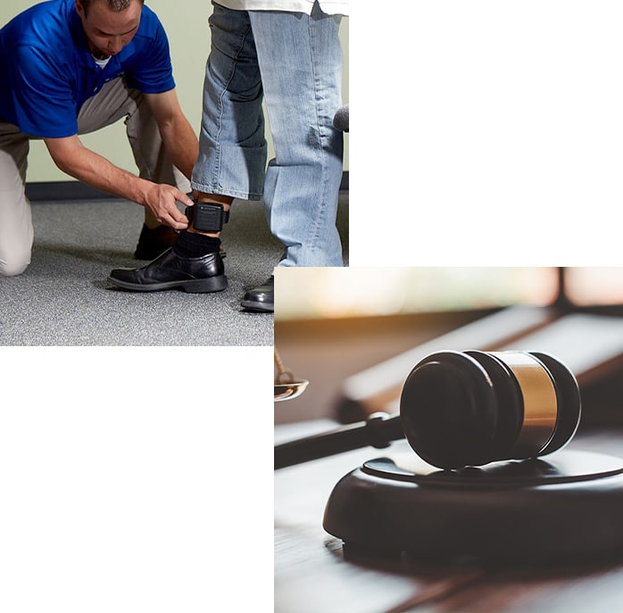 Court Services image